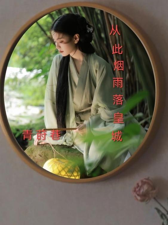 从此烟雨落京城的意思